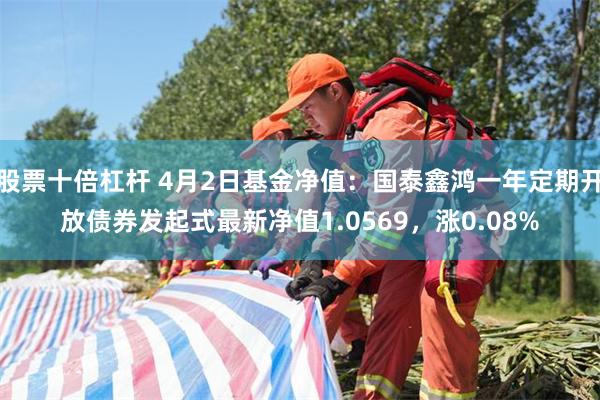 股票十倍杠杆 4月2日基金净值：国泰鑫鸿一年定期开放债券发起式最新净值1.0569，涨0.08%