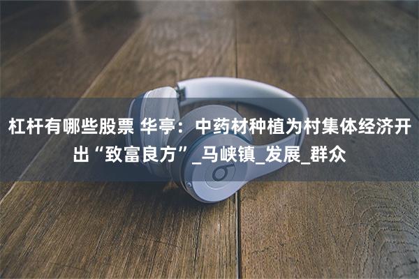 杠杆有哪些股票 华亭：中药材种植为村集体经济开出“致富良方”_马峡镇_发展_群众