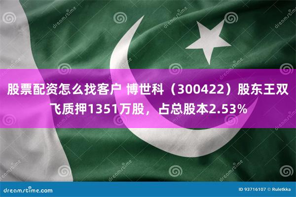 股票配资怎么找客户 博世科（300422）股东王双飞质押1351万股，占总股本2.53%