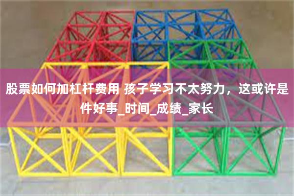 股票如何加杠杆费用 孩子学习不太努力，这或许是件好事_时间_成绩_家长
