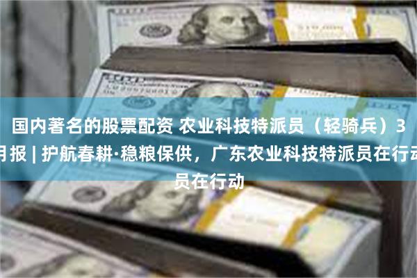 国内著名的股票配资 农业科技特派员（轻骑兵）3月报 | 护航春耕·稳粮保供，广东农业科技特派员在行动