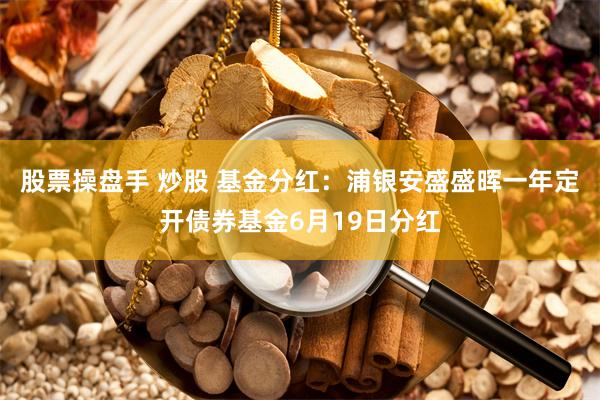 股票操盘手 炒股 基金分红：浦银安盛盛晖一年定开债券基金6月19日分红