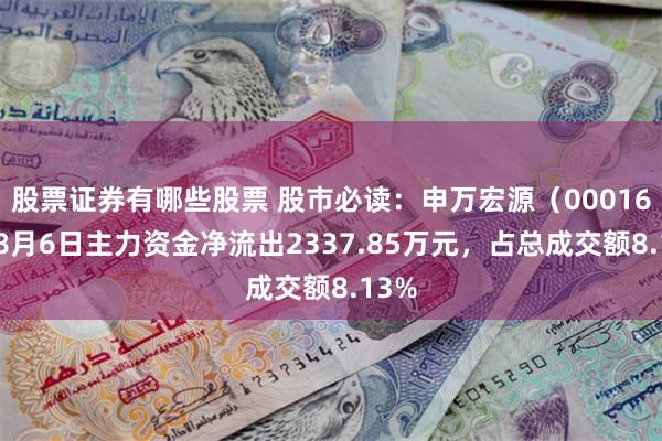股票证券有哪些股票 股市必读：申万宏源（000166）8月6日主力资金净流出2337.85万元，占总成交额8.13%