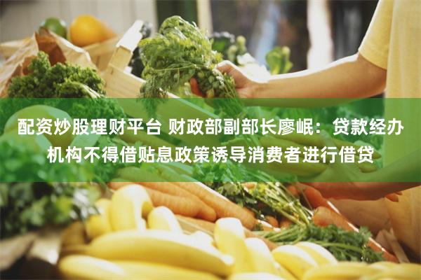 配资炒股理财平台 财政部副部长廖岷：贷款经办机构不得借贴息政策诱导消费者进行借贷