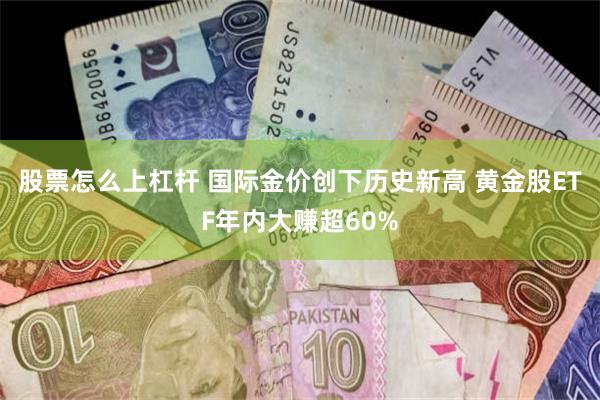 股票怎么上杠杆 国际金价创下历史新高 黄金股ETF年内大赚超60%