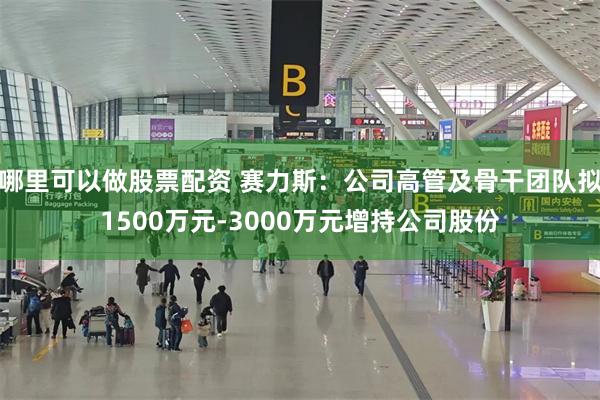 哪里可以做股票配资 赛力斯：公司高管及骨干团队拟1500万元-3000万元增持公司股份