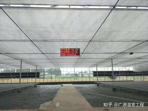 連棟薄膜溫室大棚 高效利用與薄膜應(yīng)用的多元場(chǎng)景分析
