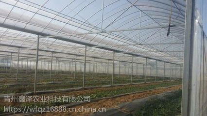 汕頭生態(tài)簡(jiǎn)易連棟薄膜溫室廠(chǎng)家批發(fā) 大棚薄膜與現(xiàn)代農(nóng)業(yè)的結(jié)合